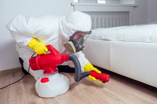 Professional Pest Control in Artondale, WA